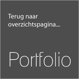 Button terug naar overzicht